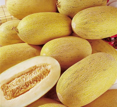 Melon Ananas 